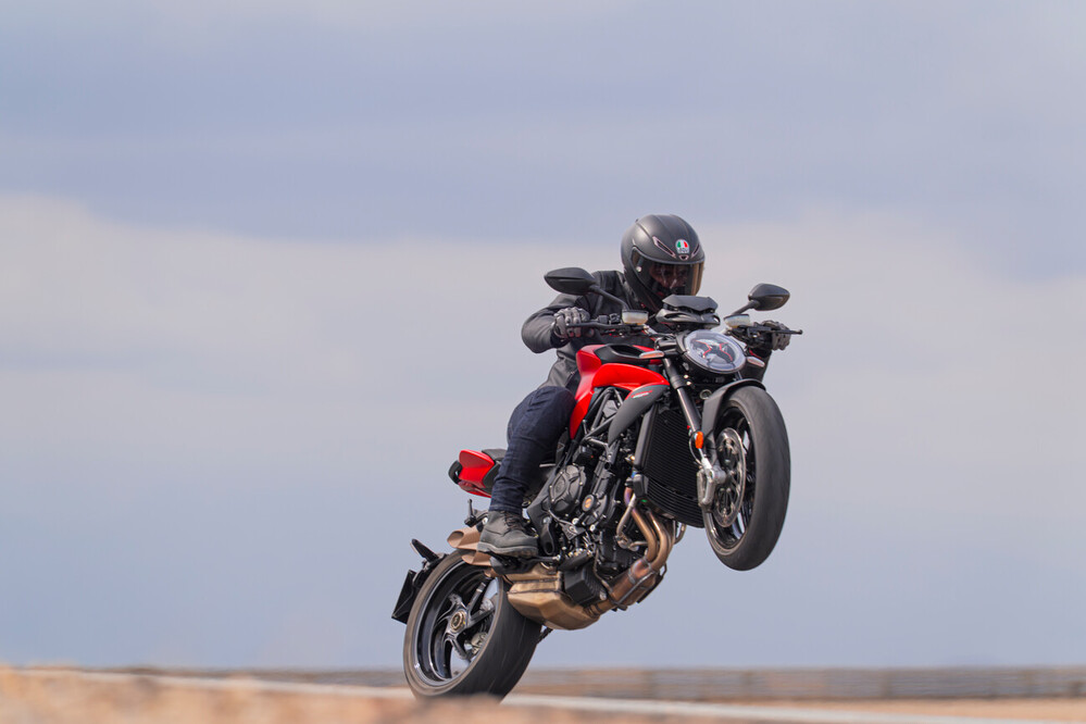 18253_Large (1000 x 1000)