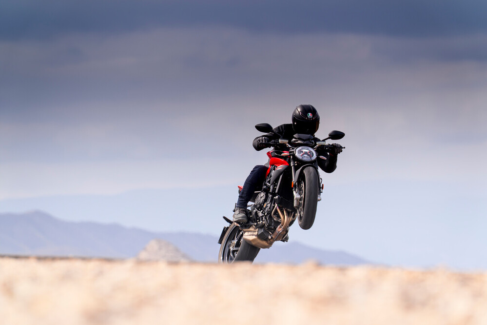 18251_Large (1000 x 1000)